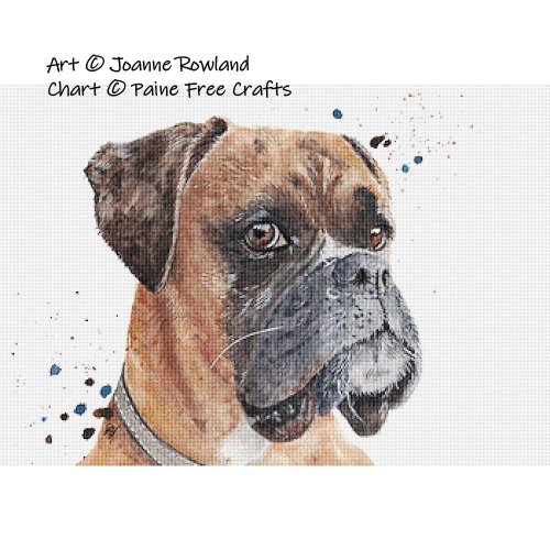 (image for) Boxer Dog